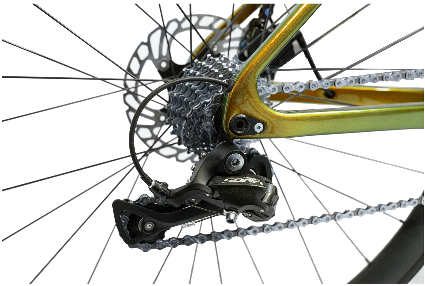 RINOS Bicicletta da strada in carbonio 700C Shimano SORA R3000 18 velocità Odin1.0