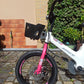 Bicicletta per bambini SKYS da 3 a 9 anni 14/16/18 pollici rosa