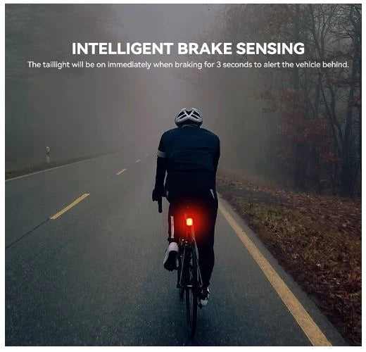 ROCKBROS Luce posteriore per bicicletta LED Impermeabile IPX6 Ricaricabile USB, Luce di frenata intelligente Luce rossa brillante con 5 modalità fisse e lampeggianti