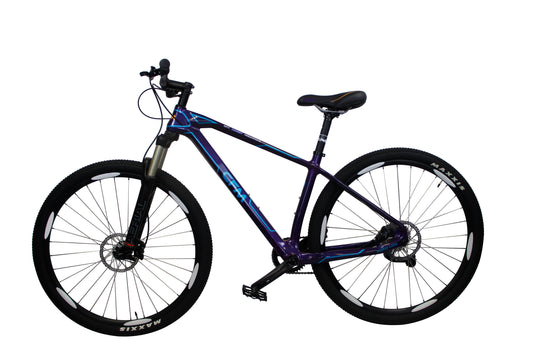 CFM Mountain Bike Carbonio 29 12V Blu